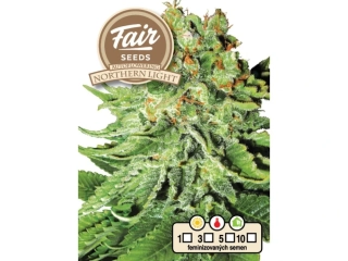 Fair Seeds Northern Light Auto