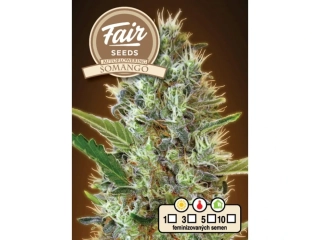 Fair Seeds Somango Auto