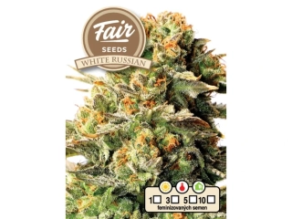 Fair Seeds White Russian