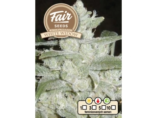 Fair Seeds White Widow
