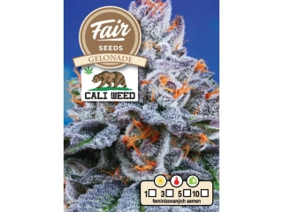 Fair Seeds Gelonade feminized