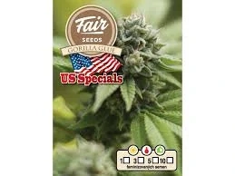 Fair Seeds Gorilla Glue feminized