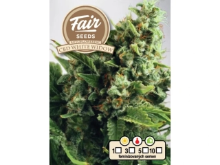 Fair Seeds CBD White Widow Auto