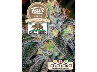 Fair Seeds Ice Cream Cake feminized