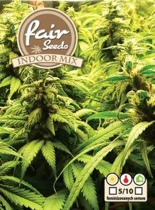 Fair Seeds Indoor mix feminized