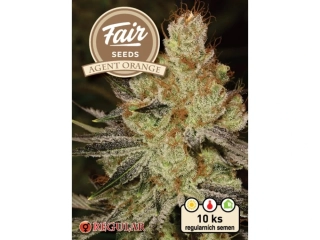 Fair Seeds Agent Orange regular 10ks