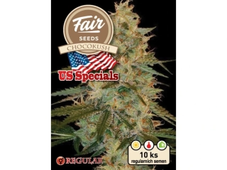 Fair Seeds Chocokush regular 10ks