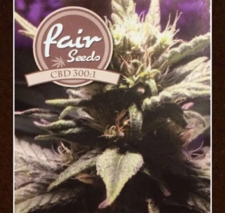 Fair Seeds CBD 300:1 feminized