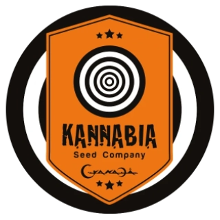 Kannabia Seeds - Break-up Cake Auto