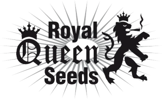 Royal Queen Seeds Special Queen #1 Auto