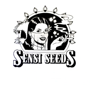 Sensi Seeds Jack Herer Automatic