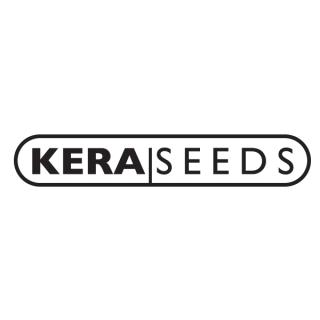 Kera Seeds - American Stafford